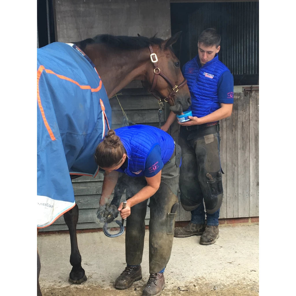 Horslyx Mini - lakumaius - täiendsööt hobusele