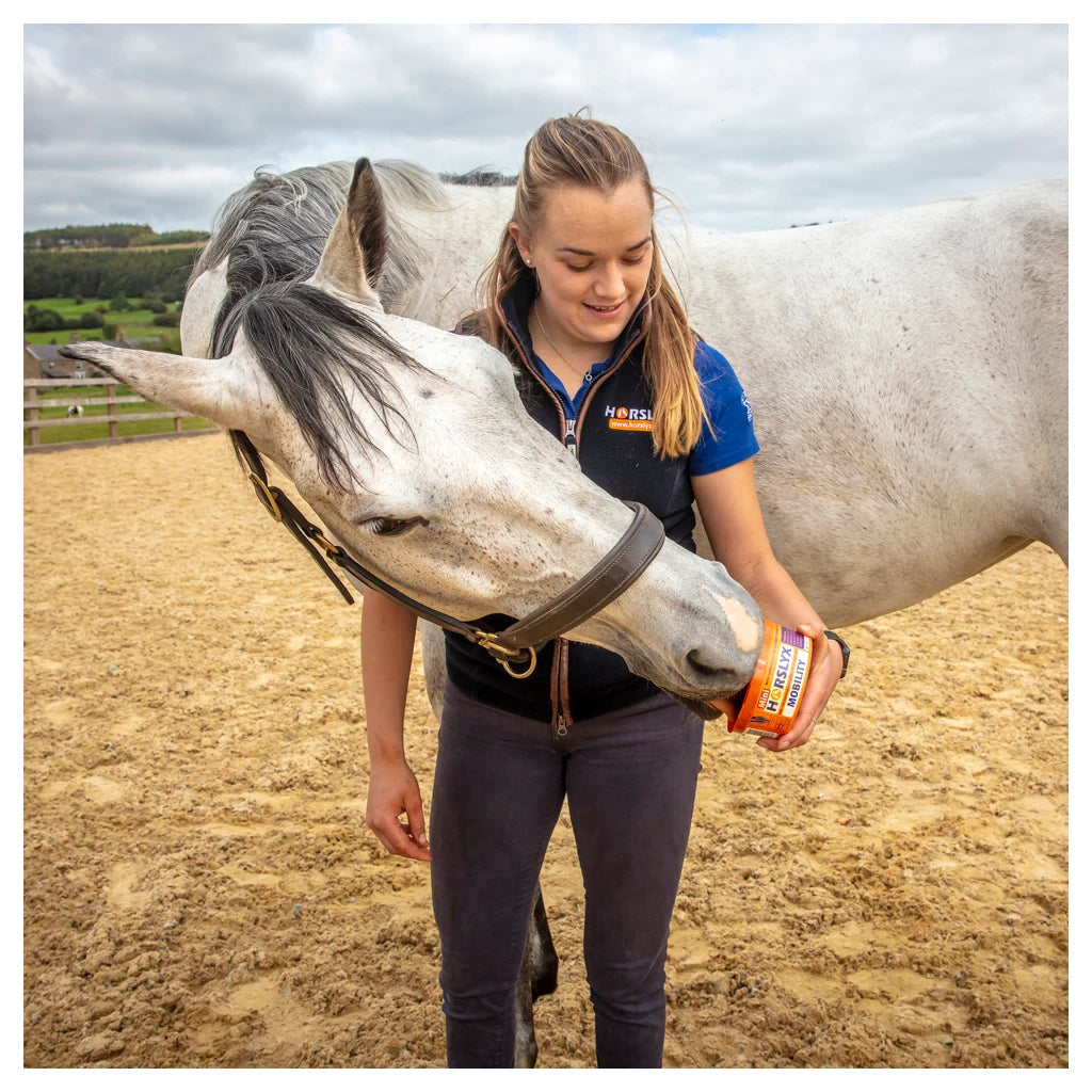 Horslyx Mini - lakumaius - täiendsööt hobusele
