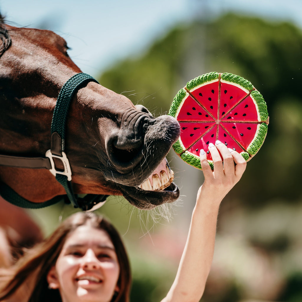 Candy Horse glasuuritud küpsis - täiendsööt hobustele