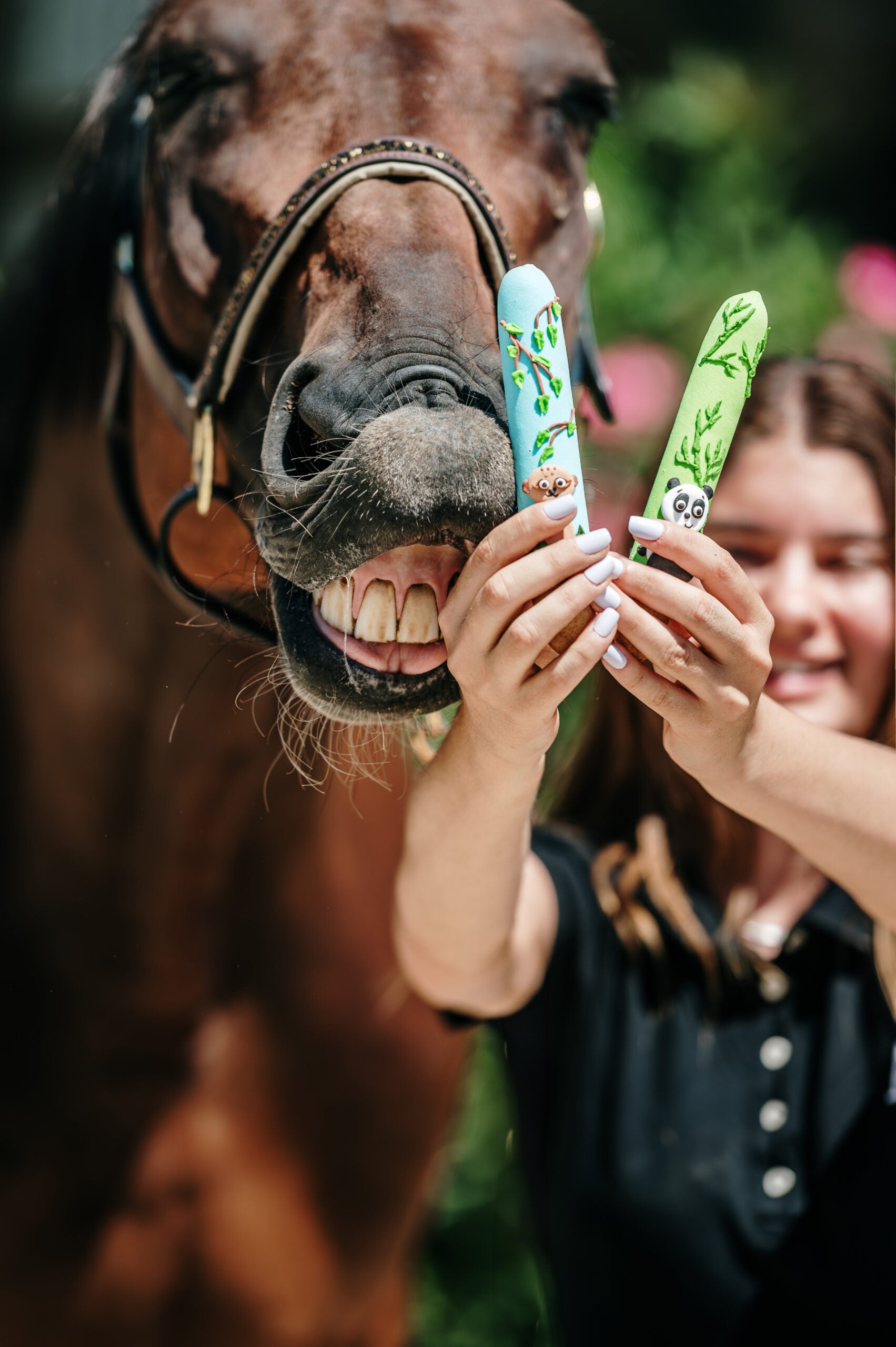 Candy Horse glasuuritud teraviljapulgad - täiendsööt hobusele