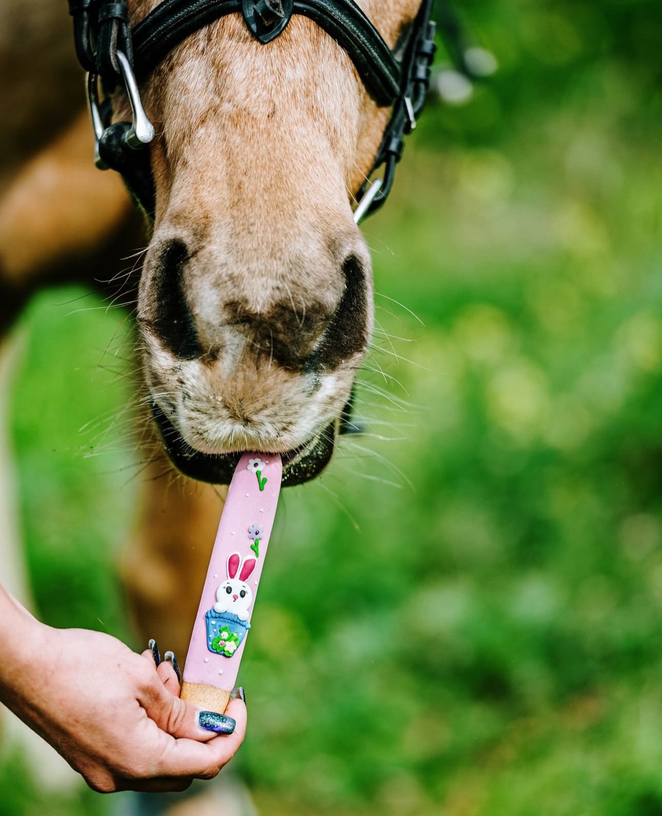 Candy Horse glasuuritud teraviljapulgad - täiendsööt hobusele