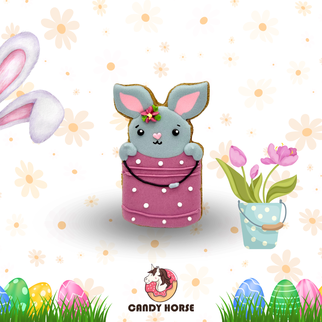 Candy Horse glasuuritud küpsis - täiendsööt hobustele