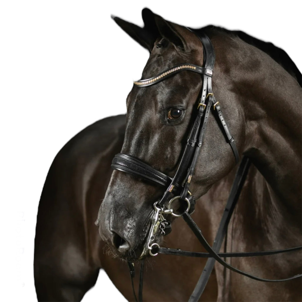 MRS.ROS Deluxe Knight Power kangvaljad