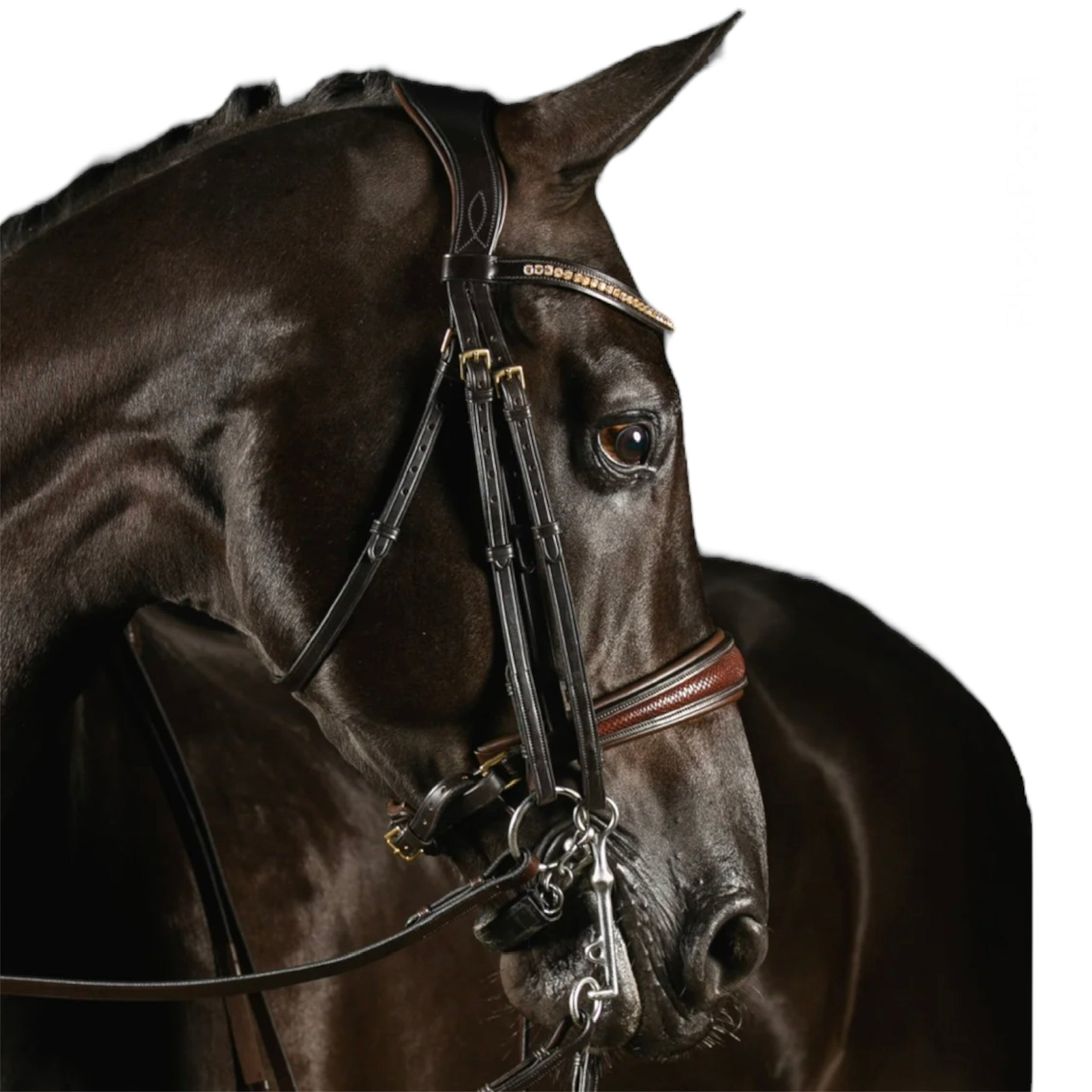 MRS.ROS Deluxe Knight Power kangvaljad -pruun