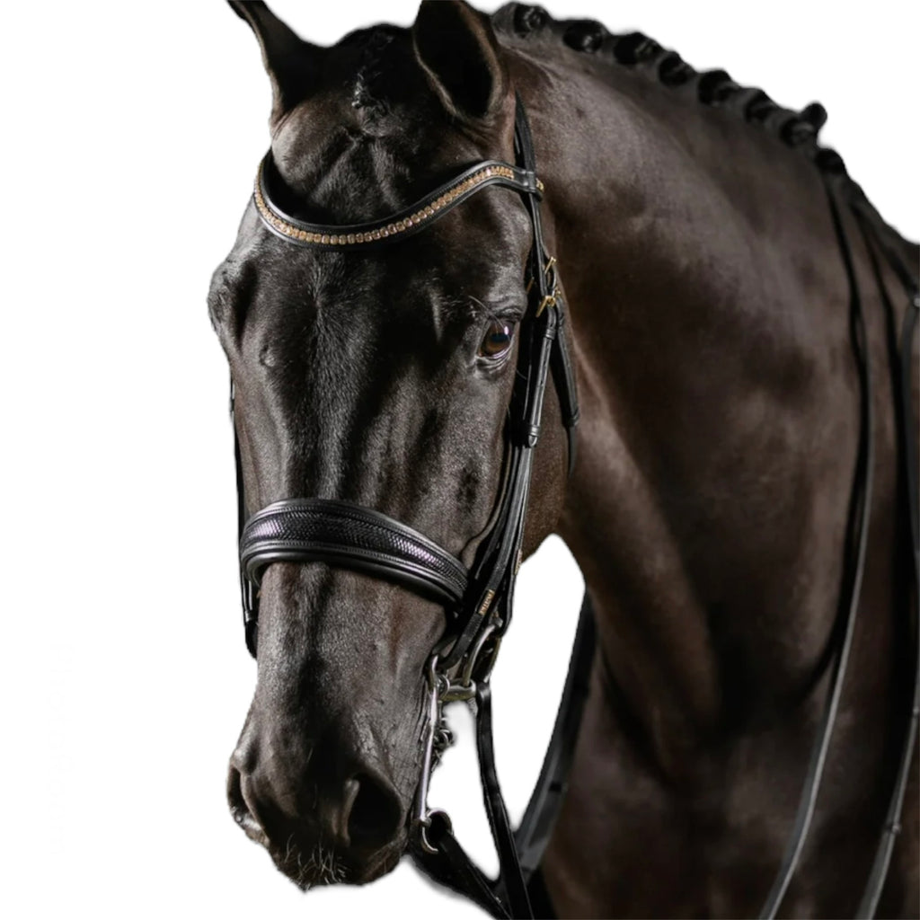 MRS.ROS Deluxe Knight Power kangvaljad