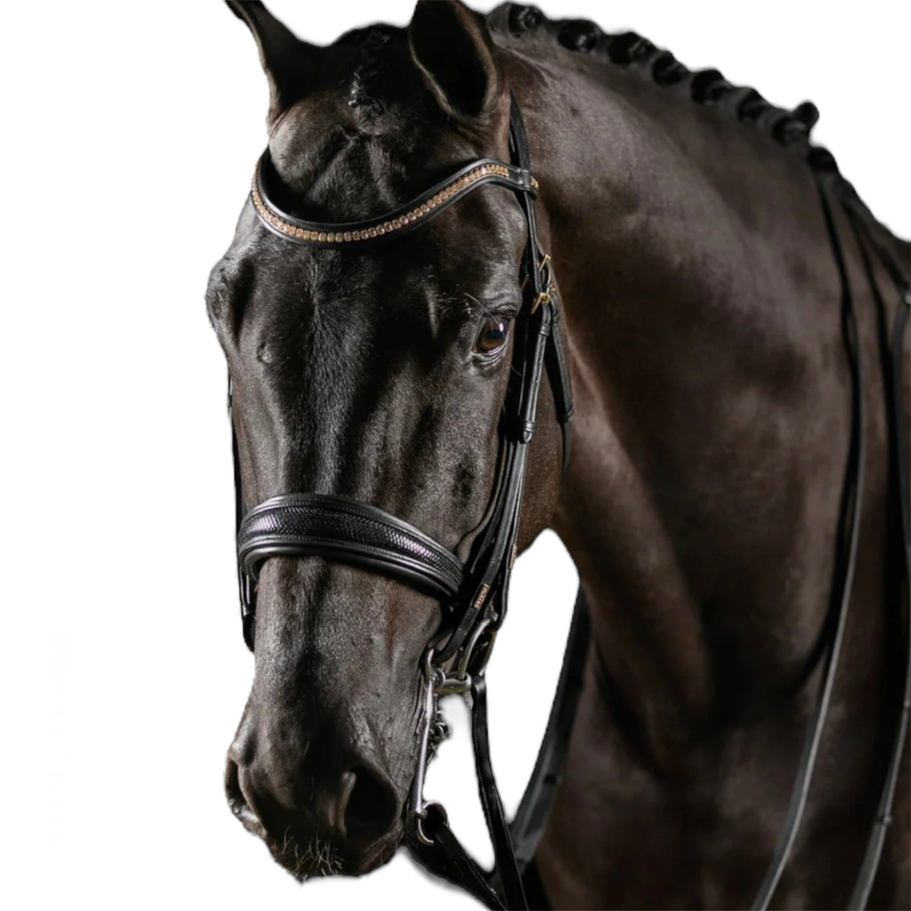 MRS.ROS Deluxe Knight Power kangvaljad