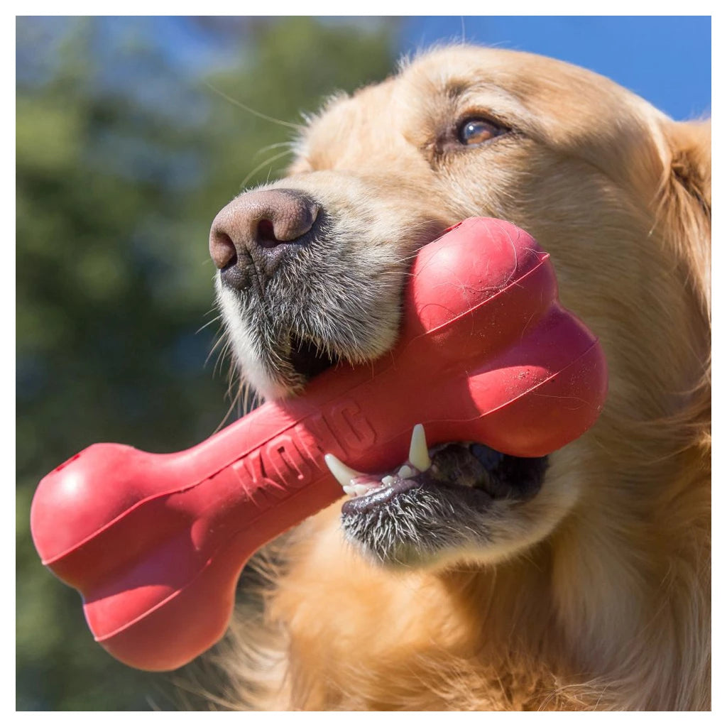 KONG Goodie Bone