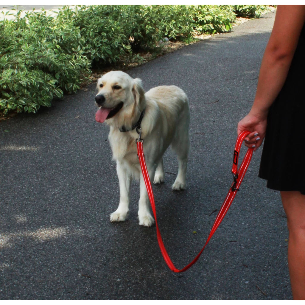 KONG reguleeritav jalutusrihm