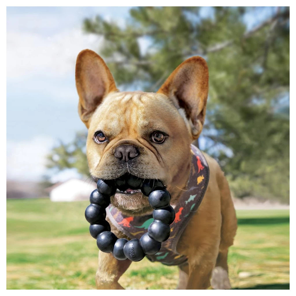 KONG Extreme Ring närimisrõngas koertele