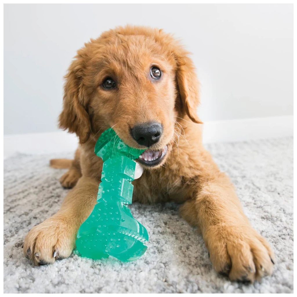 KONG Squeezz® Dental Stick