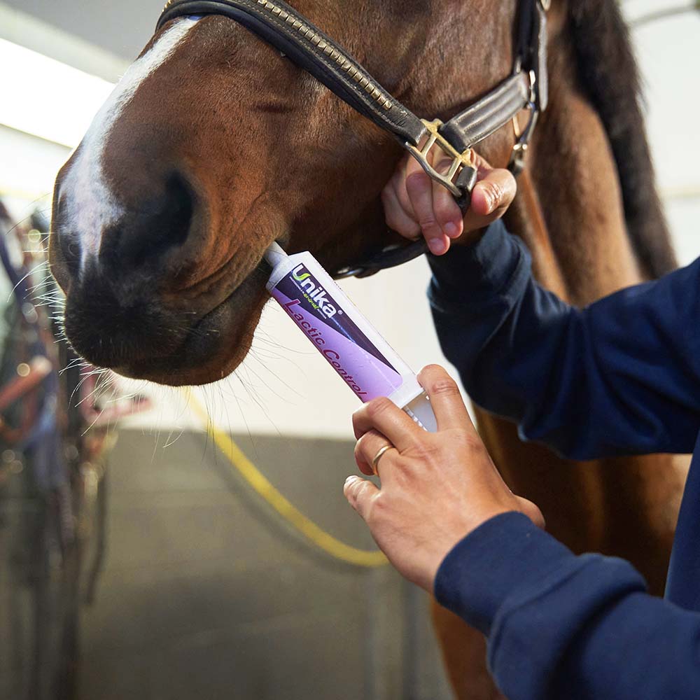 Lactic Control pasta - täiendsööt hobustele - lihased