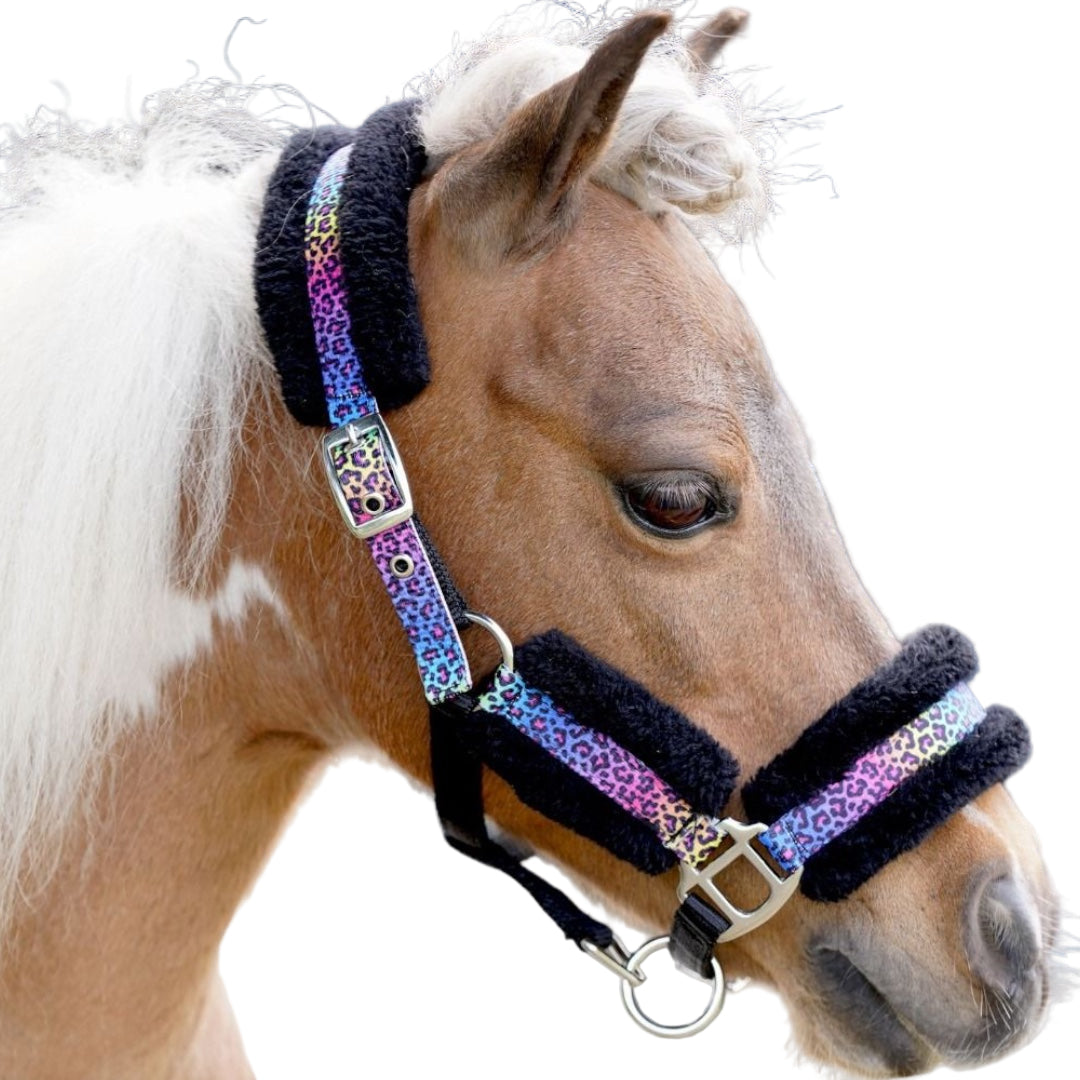 HB Little - Shetty päitsed