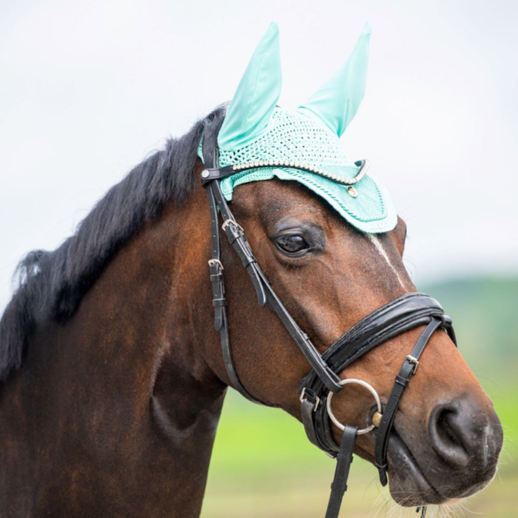 HB Showtime St Logo kõrvad