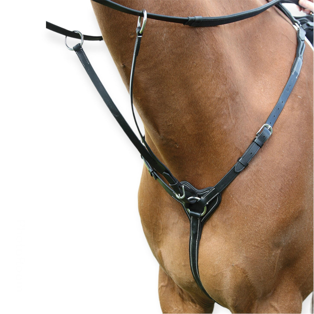 Salisbury 3-punkti kinnitusega rinnarihm martingal