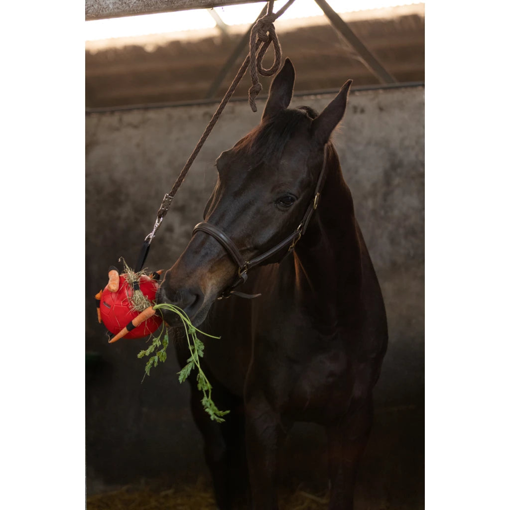 Excellent Horse Fun Play mängupall