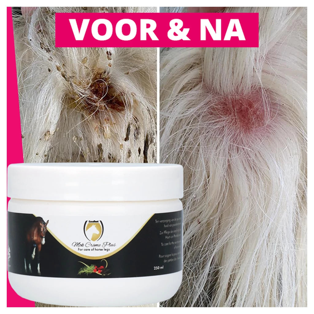 Excellent Horse Mud Fever kreem prei raviks