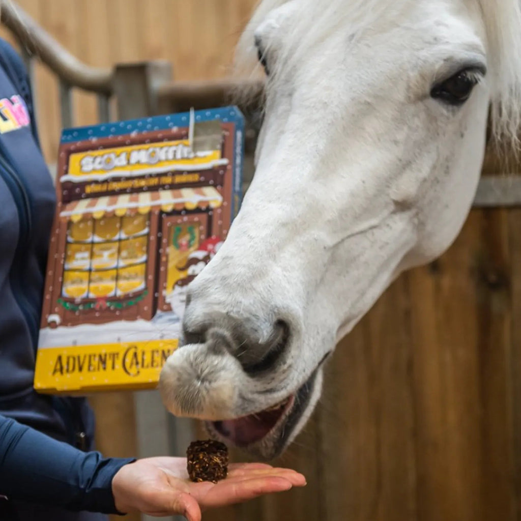 Mini Stud Muffins advendikalender maiused - täiendsööt hobusele