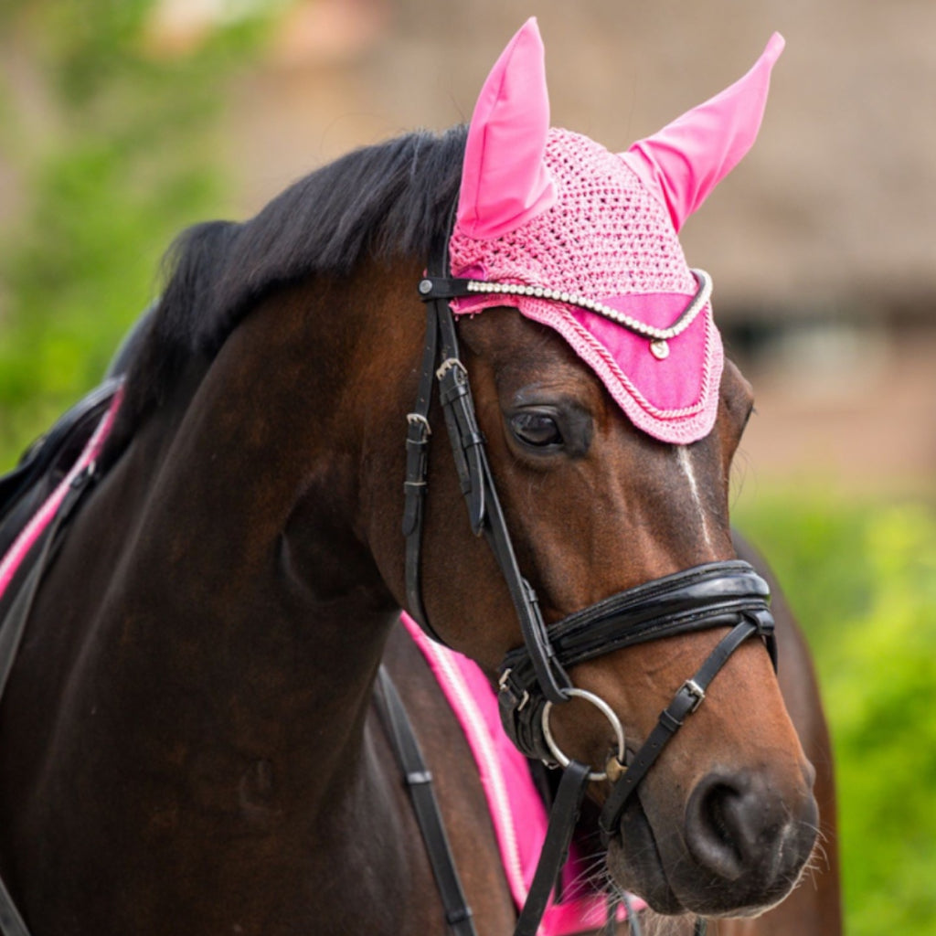 HB Showtime St Logo kõrvad