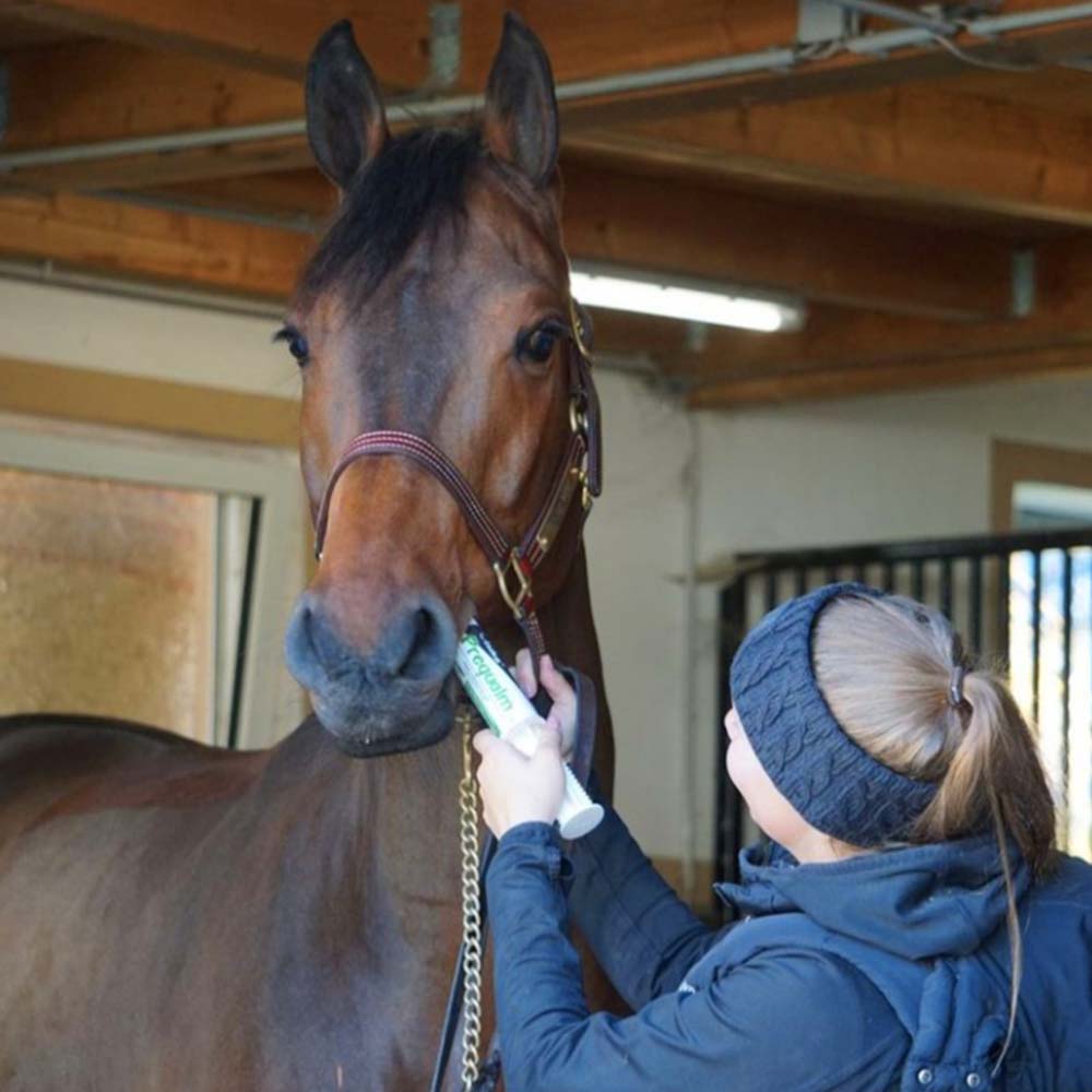 Prequalm rahustav pasta - täiendsööt hobusele