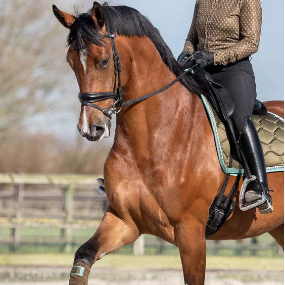 Dressage Signature valtrap