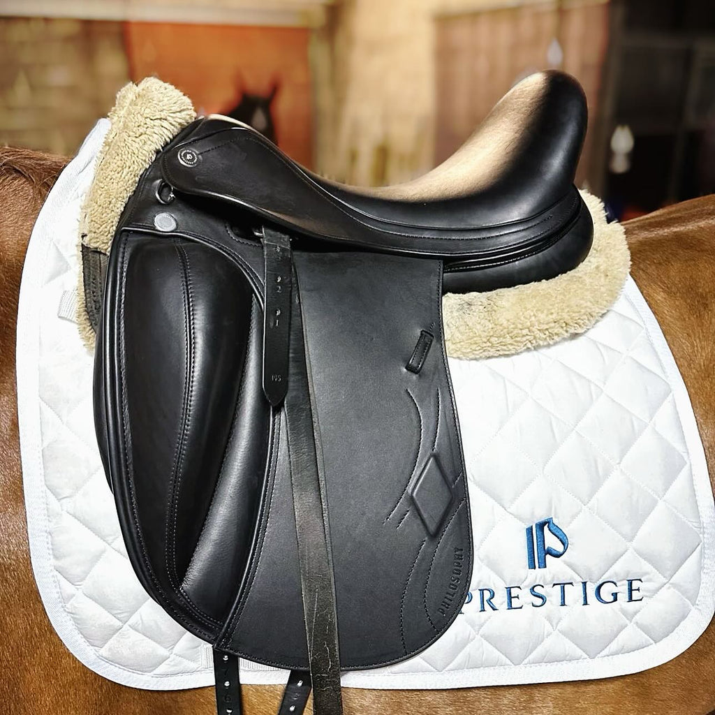 Prestige Philosophy K