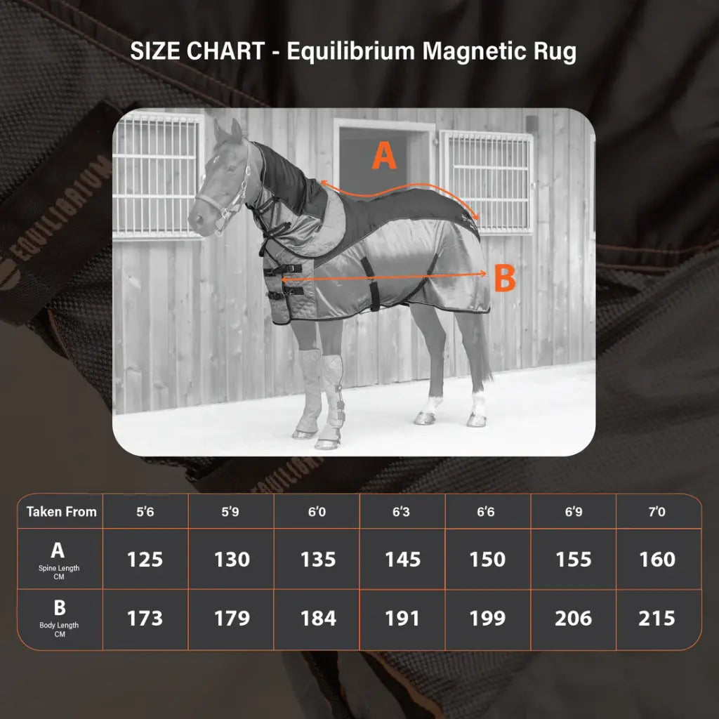 Equilibrium THERAPHY MAGNETIC RUG magnettekk