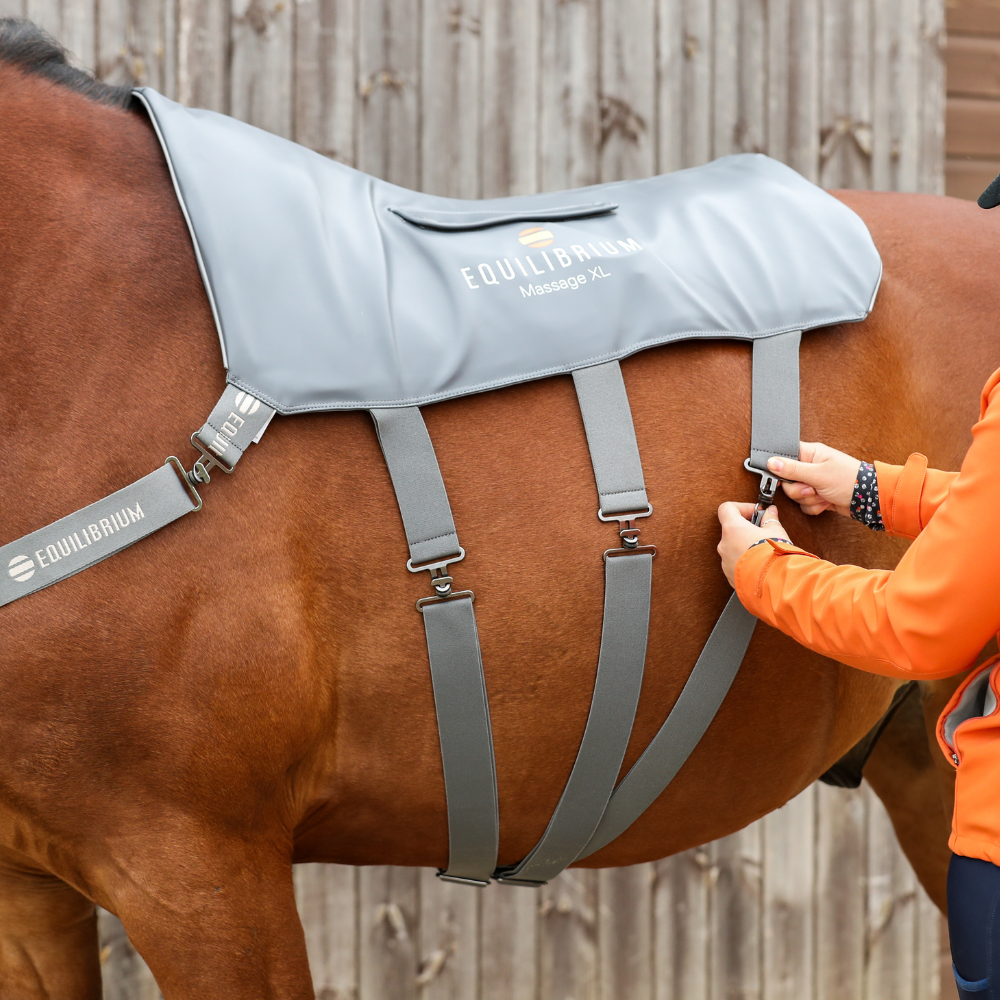 Equilibrium Massage Pad XL – massaažitekk hobusele