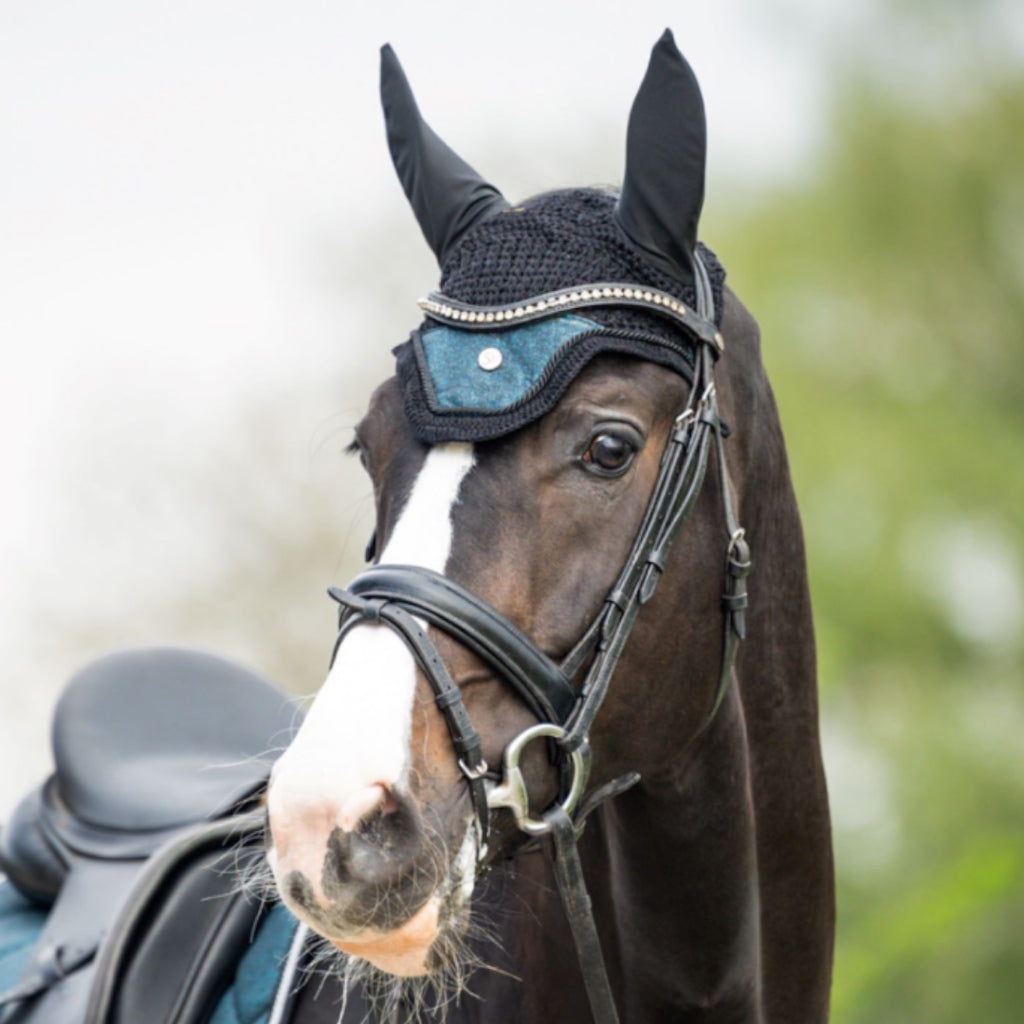 HB Showtime St Logo kõrvad