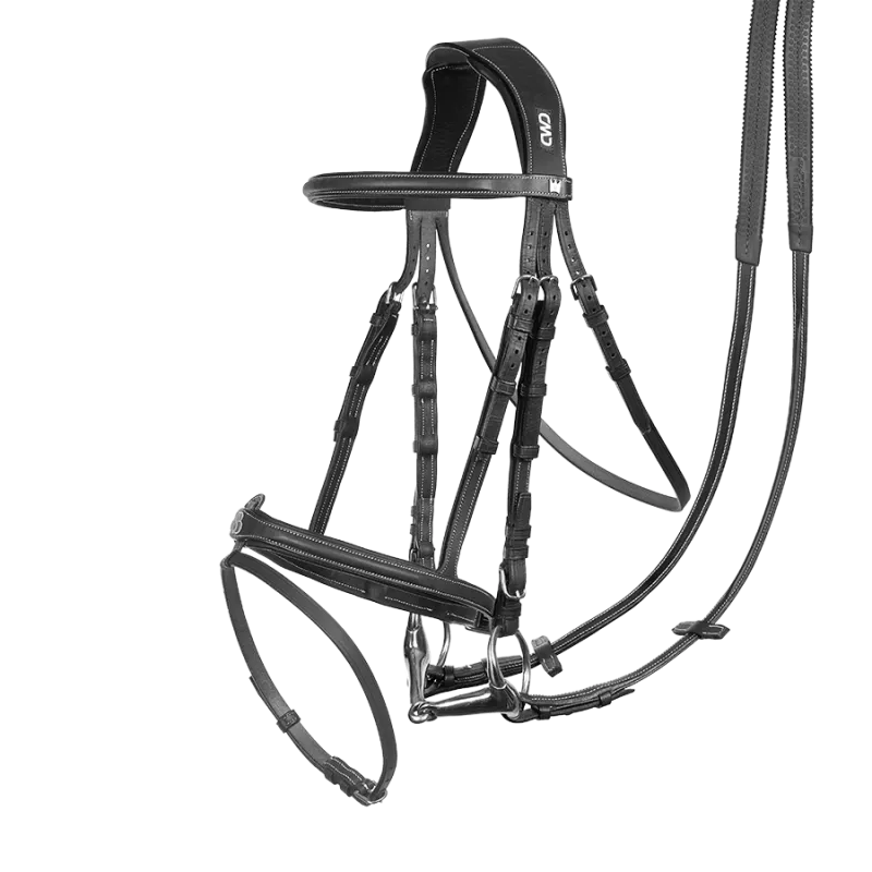 CWD Scott Brash valjad + ratsmed