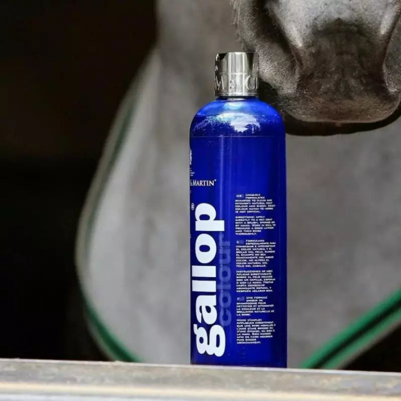 Carr&Day&Martin Gallop šampoon 500 ml - valgele/hallile