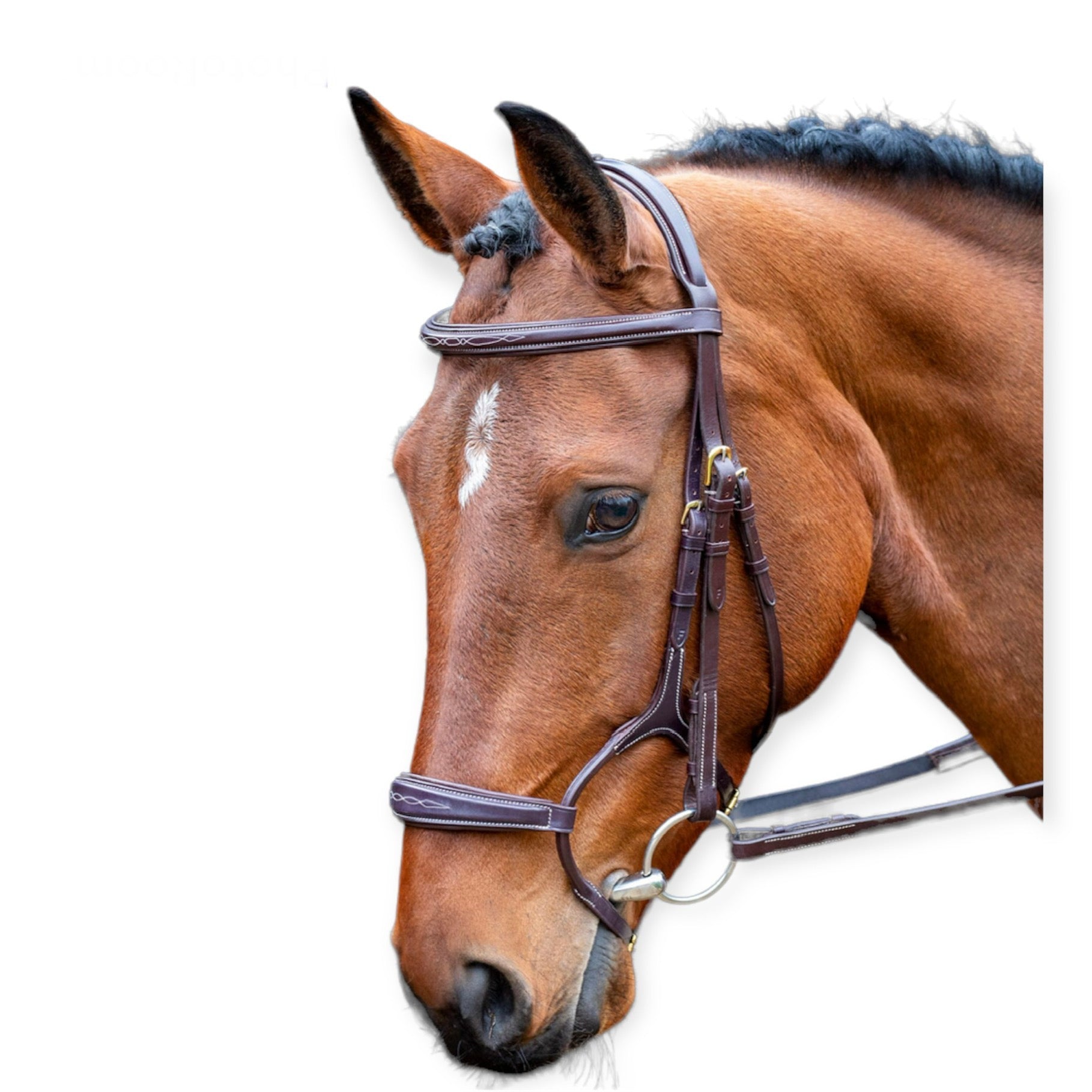 Salisbusy Brampton valjad