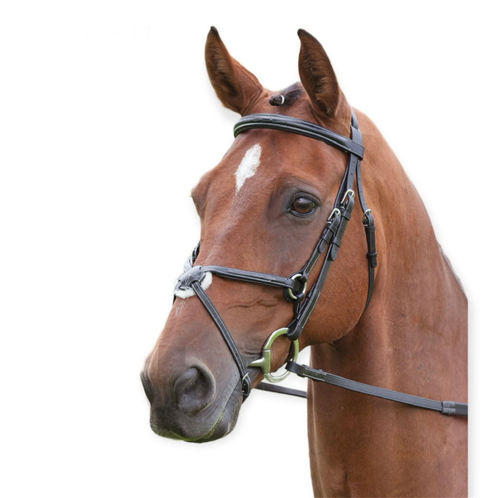 Salisbusy Brackley mehhiko kapsliga valjad