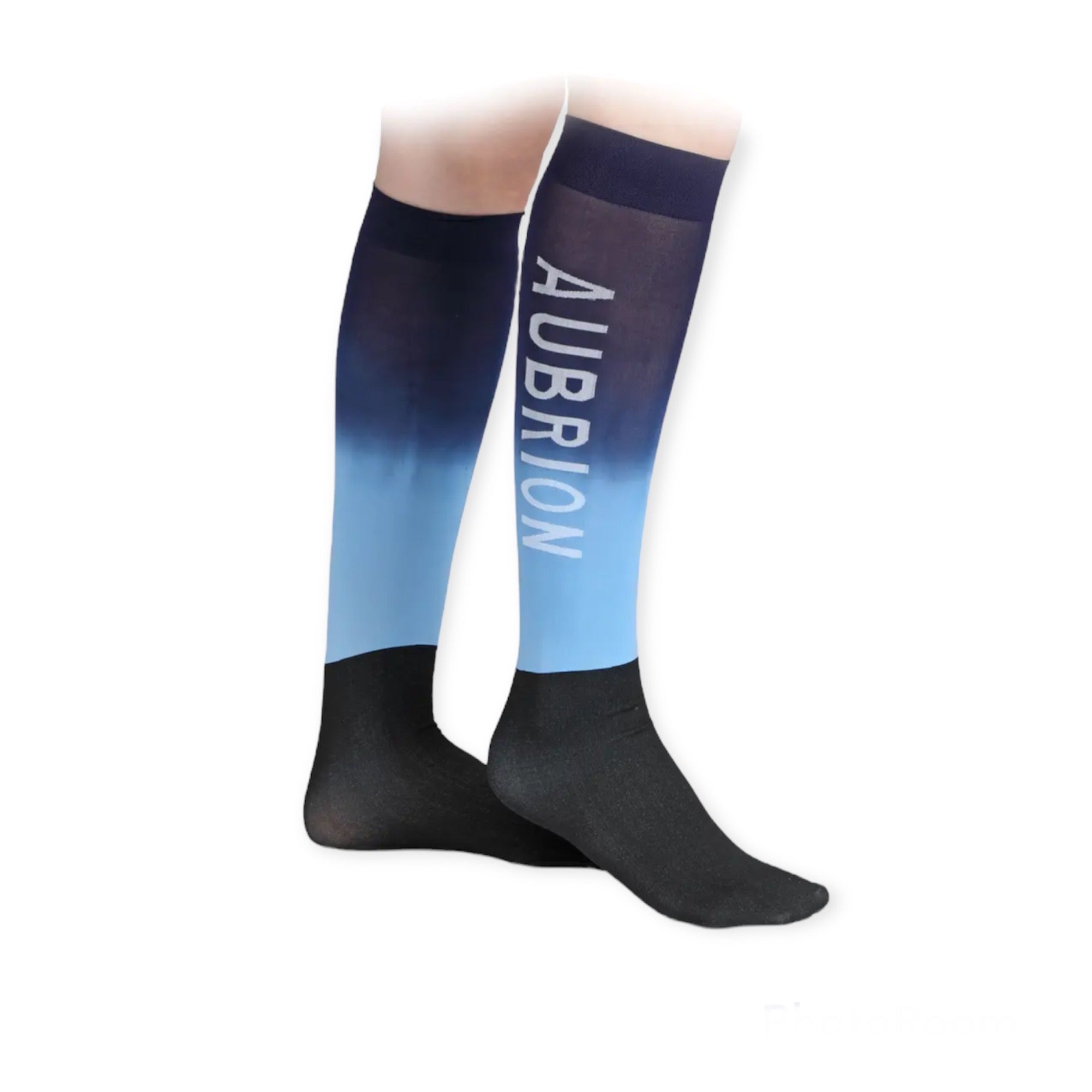 Aubrion Abbey ratsapõlvikud