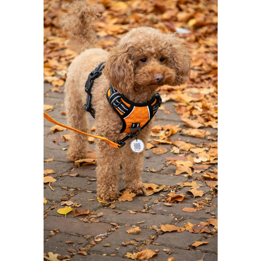 Spotted! Pro tirimisvastased traksid