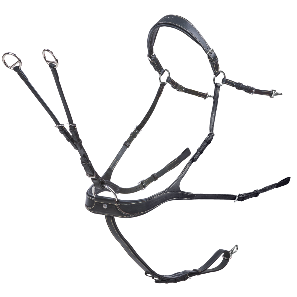 Busse Take Off rinnarihm-martingal