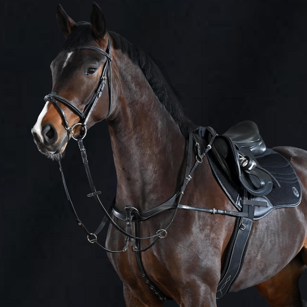 Busse Take Off rinnarihm-martingal