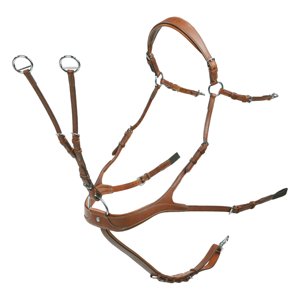 Busse Take Off rinnarihm-martingal