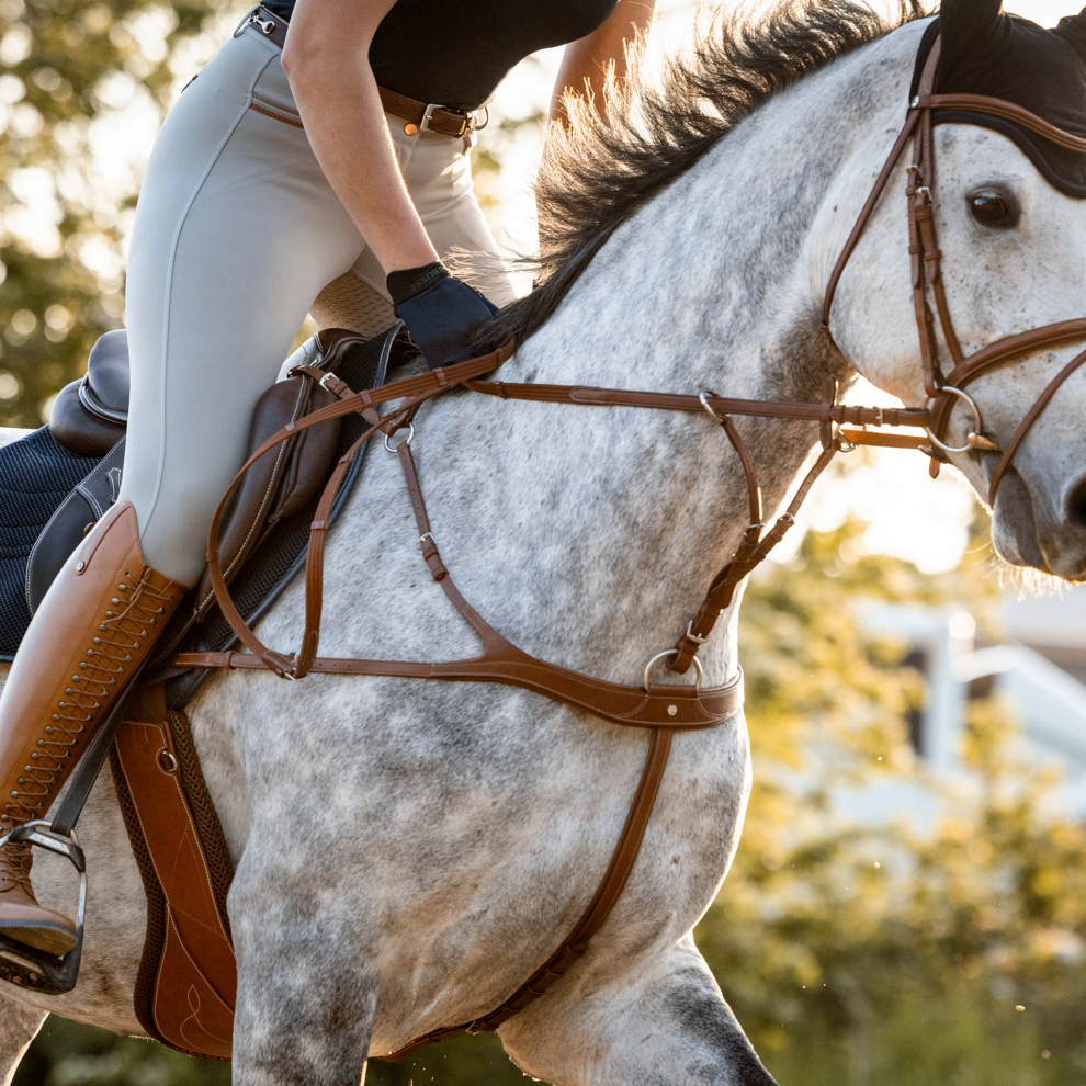 Busse Take Off rinnarihm-martingal