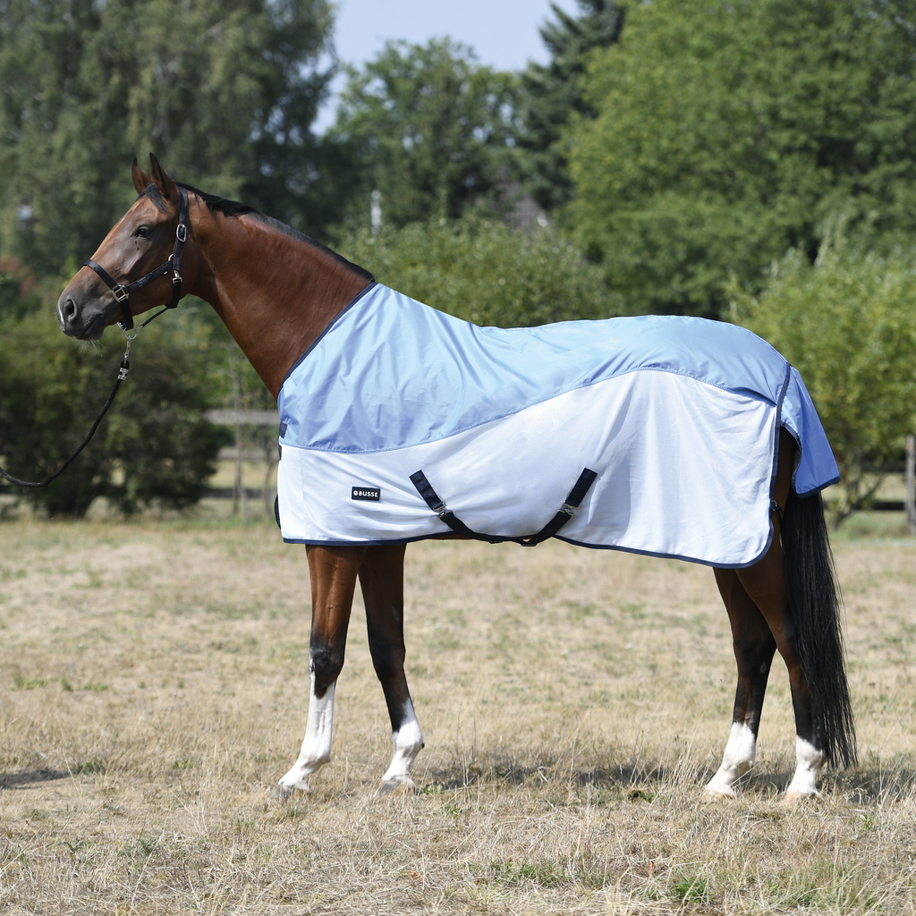 Busse RainFly kaks ühes vihma- ja putukatekk