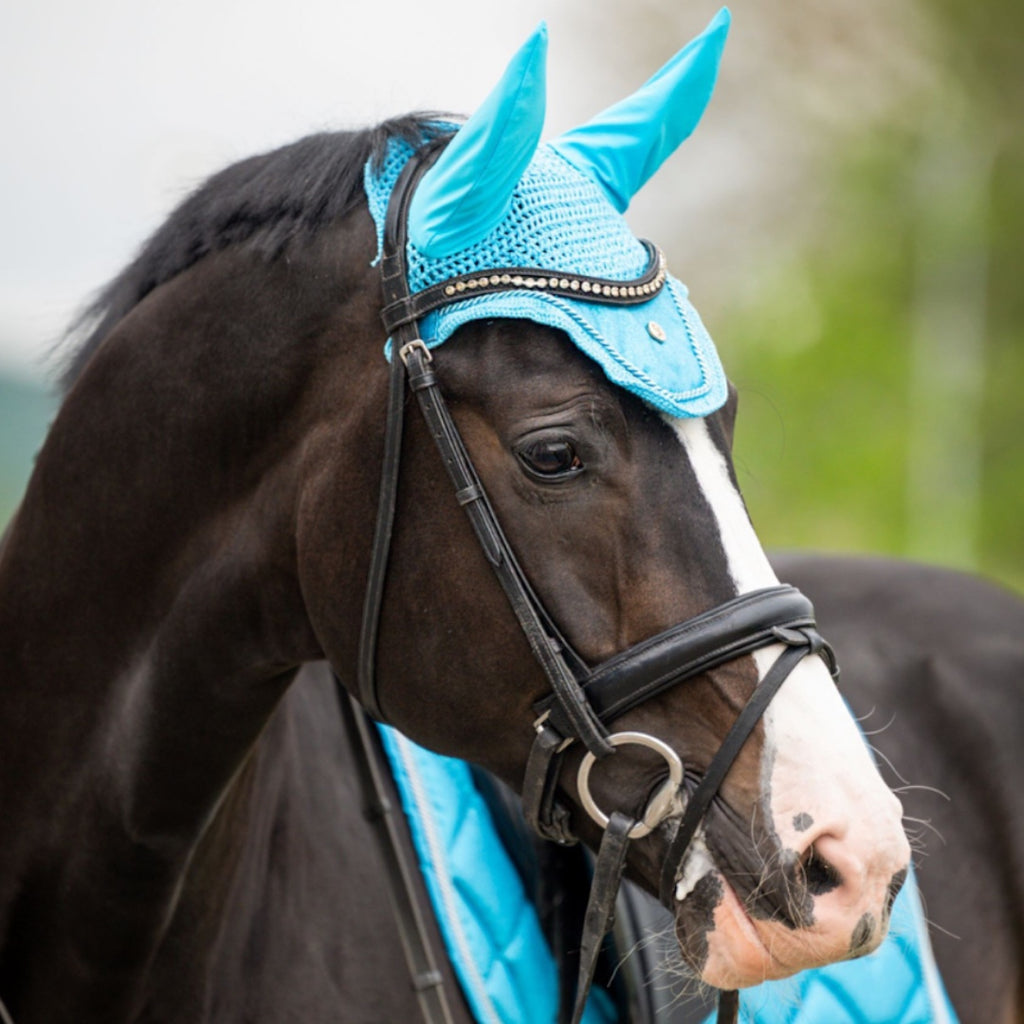 HB Showtime St Logo kõrvad