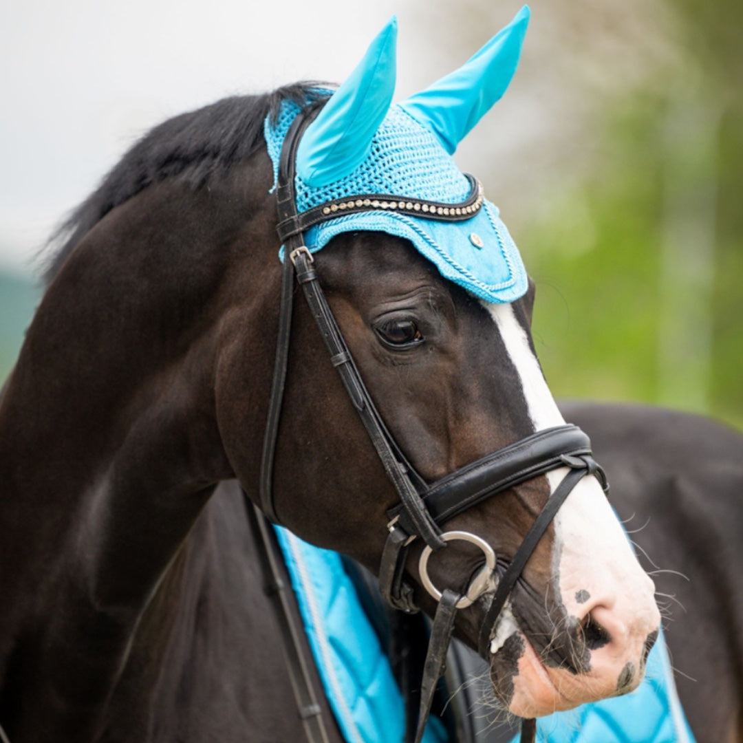 HB Showtime St Logo kõrvad