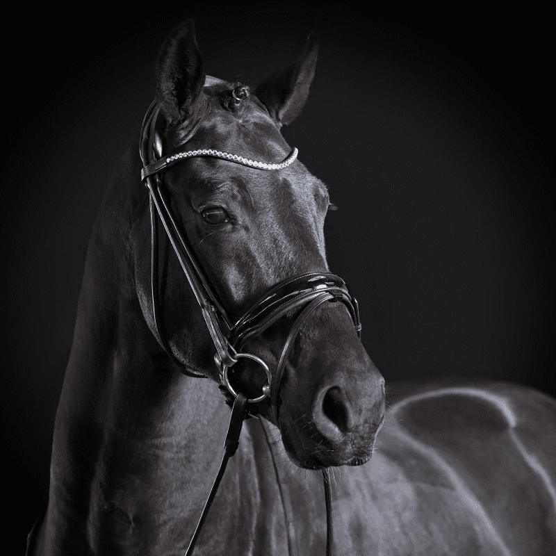 Busse Passage rullnahast anatoomilised valjad