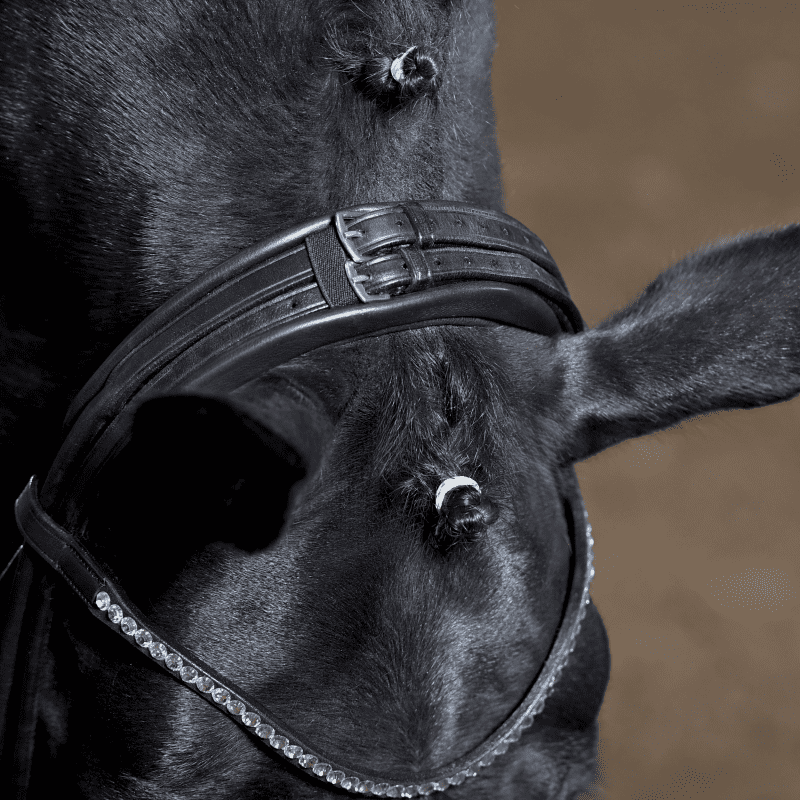 Busse Passage rullnahast anatoomilised valjad