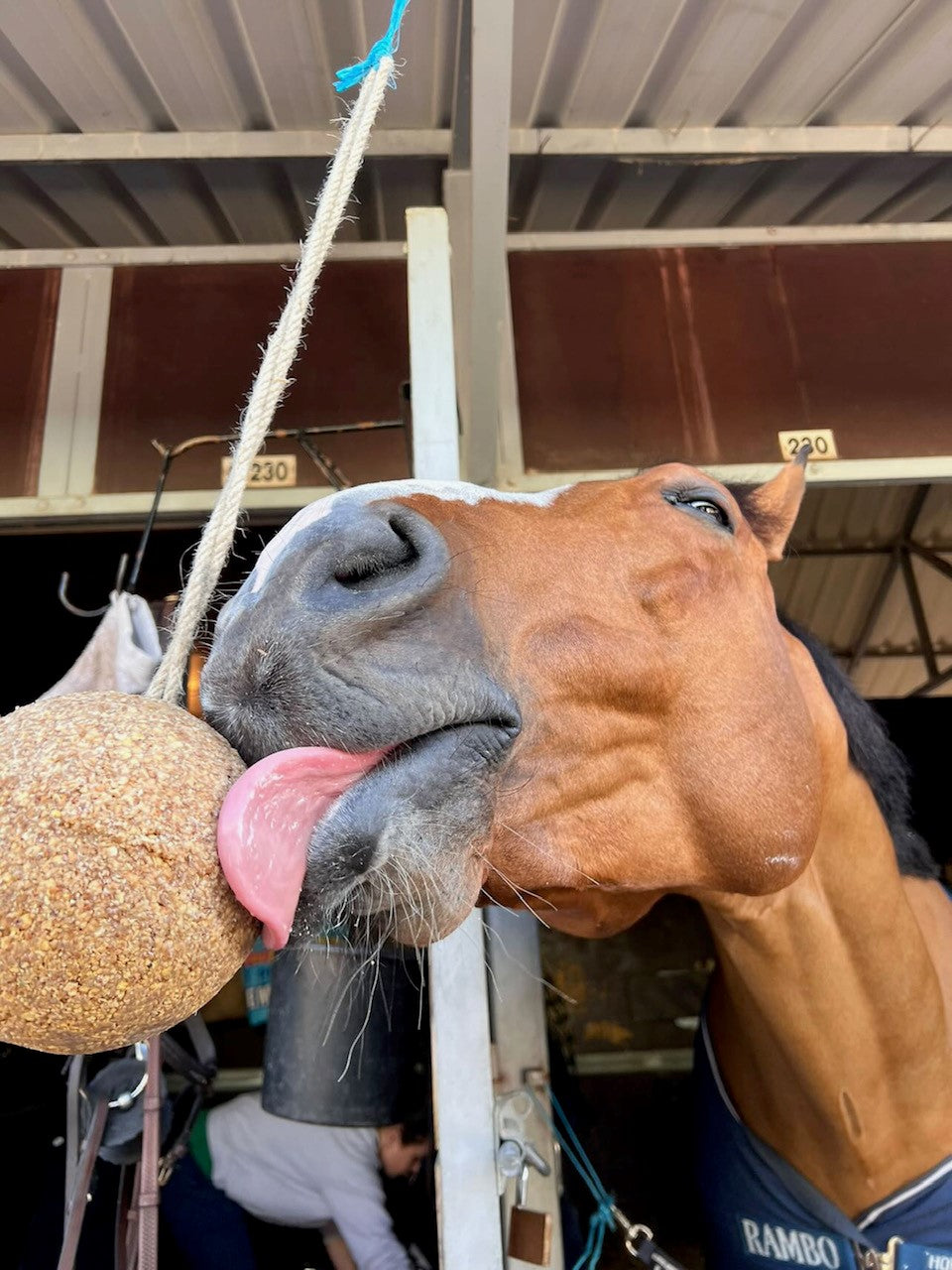 Unika Balls Herbs - täiendsööt hobusele
