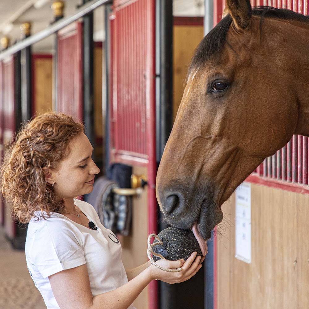 Unika Balls Gastro - lakupall - täiendsööt hobusele