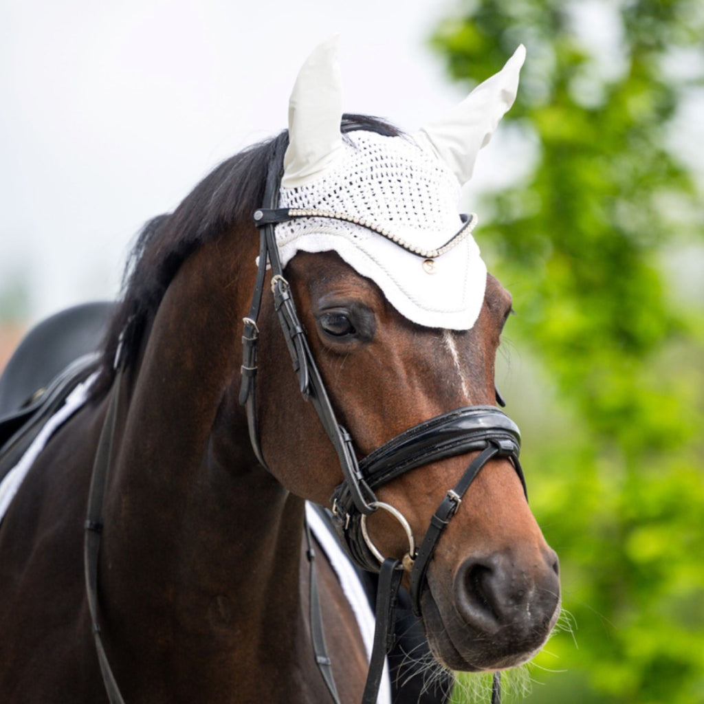 HB Showtime St Logo kõrvad