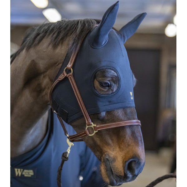 Wahlsten Healing Titanium mask hobusele