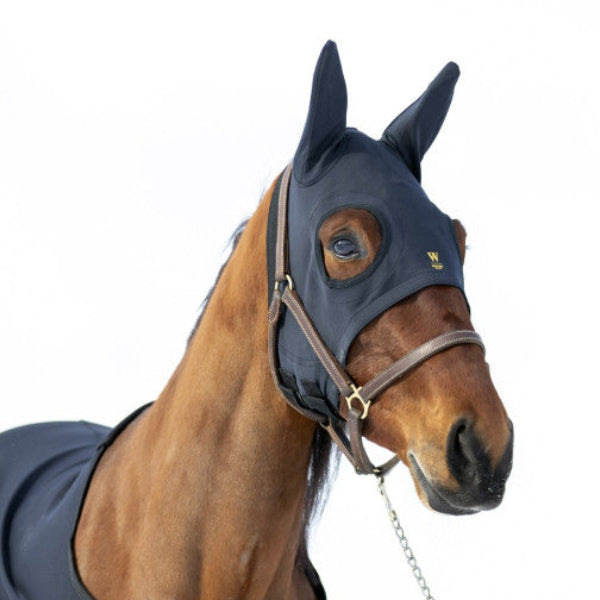 Wahlsten Healing Titanium mask hobusele