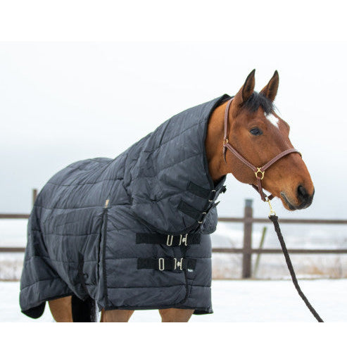 Wahlsten Larami 200 gr alustekk