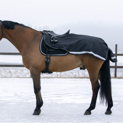 Wahlsten Leo 100 gr treeningtekk